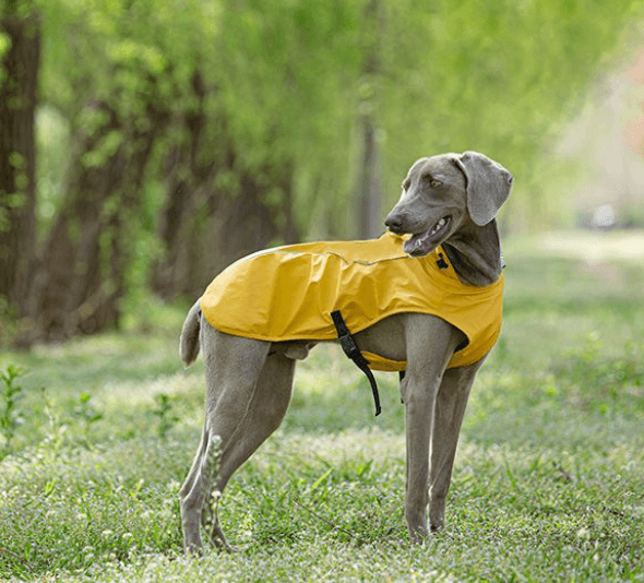 Poncho Imperméable Réfléchissant à Capuche