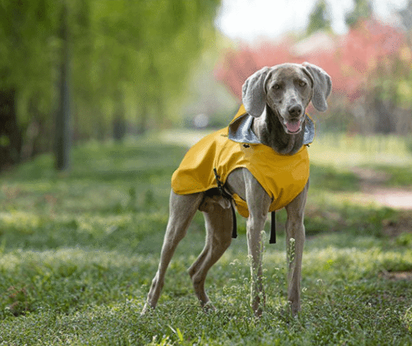 Poncho Imperméable Réfléchissant à Capuche