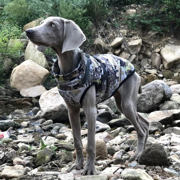 Manteau Matelassé Chaud avec Harnais Intégré