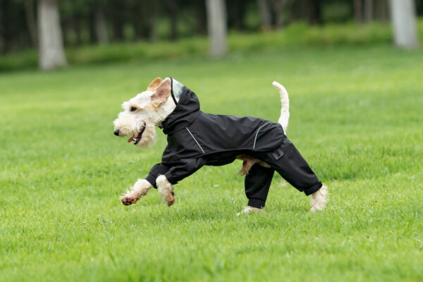 Imperméable 2-en-1 Amovible avec Visière Transparente