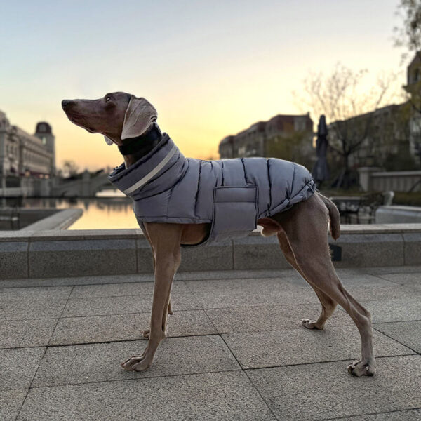 Doudoune Imperméable Matelassée avec Col Haut