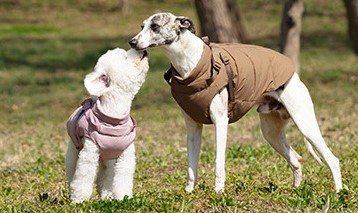 Doudoune Imperméable avec Harnais Intégré