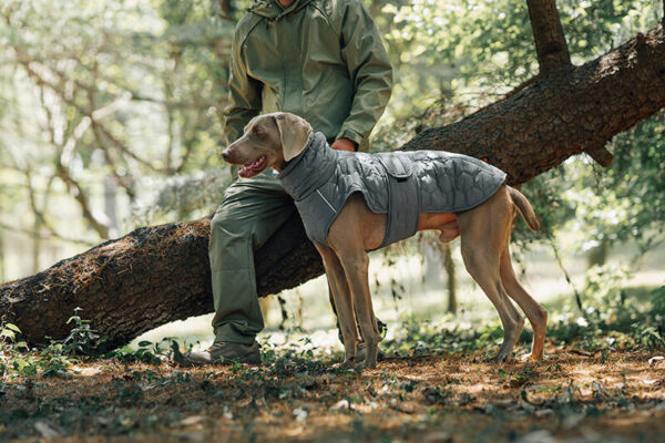 Manteau Matelassé Alvéolé Chaud avec Col Haut