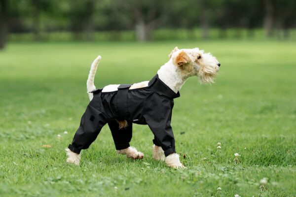 Imperméable 2-en-1 Amovible avec Visière Transparente