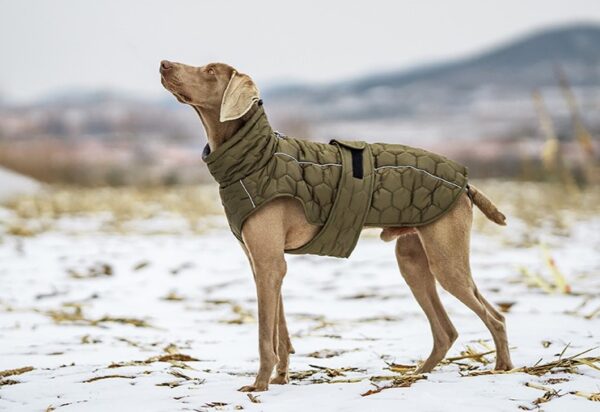 Manteau Matelassé Alvéolé Chaud avec Col Haut