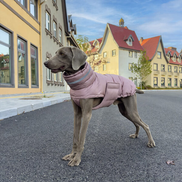 Doudoune Imperméable Matelassée avec Col Haut