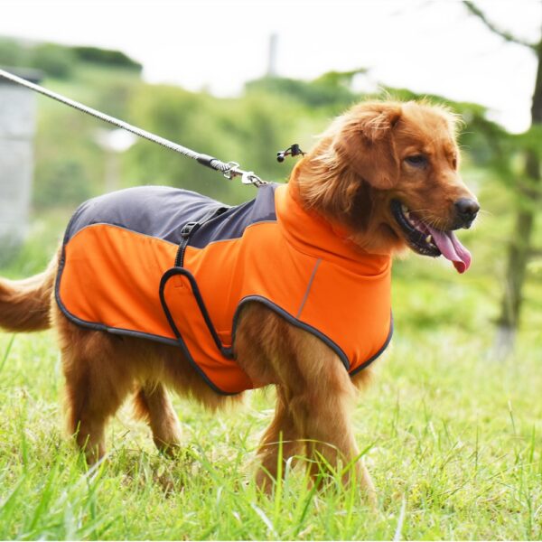 Manteau Softshell Doublé Polaire avec Col Haut