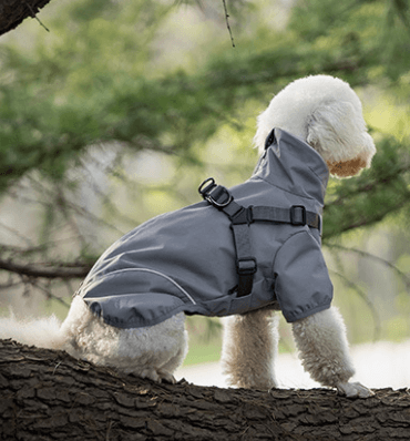 Veste Imperméable Coupe-Vent avec Harnais Intégré