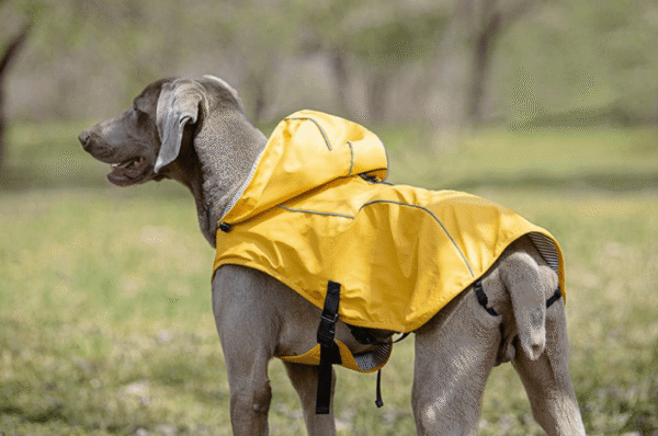 Poncho Imperméable Réfléchissant à Capuche