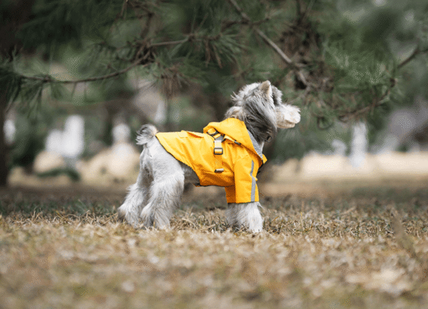 Imperméable À Capuche avec Harnais Intégré & Poche