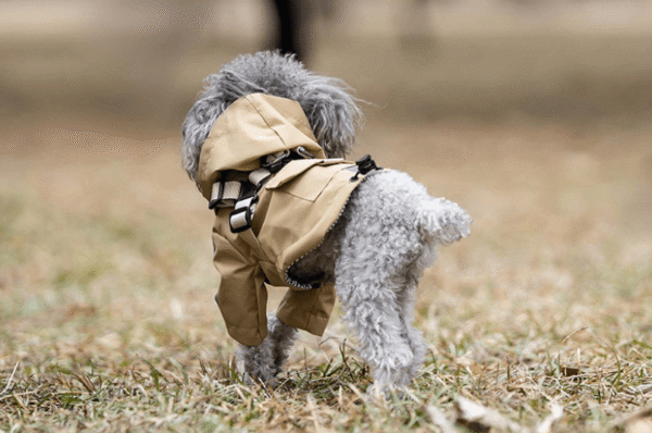 Imperméable À Capuche avec Harnais Intégré & Poche