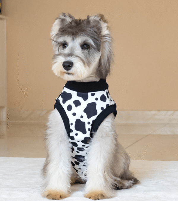 Gilet de Récupération Post-Opératoire Doublé Coton