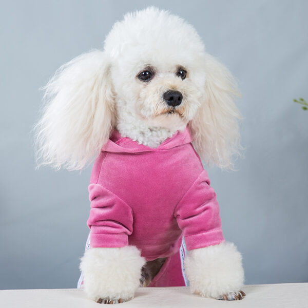 Survêtement 4 Pattes en Velours à Capuche Style Streetwear