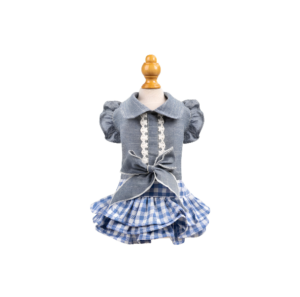 Robe en Jean et Vichy avec Col Claudine