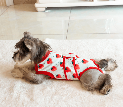 Gilet de Récupération Post-Opératoire Doublé Coton