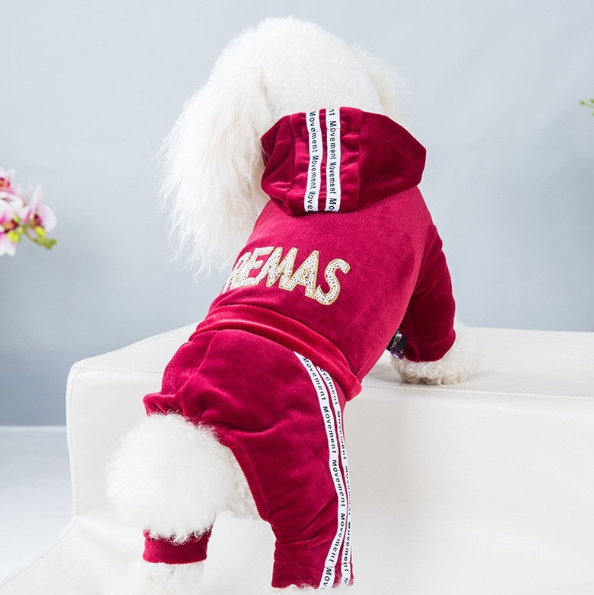 Survêtement 4 Pattes en Velours à Capuche Style Streetwear