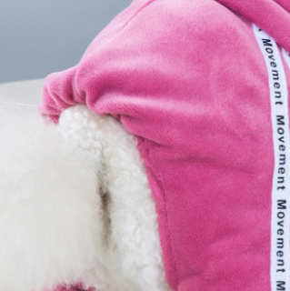 Survêtement 4 Pattes en Velours à Capuche Style Streetwear