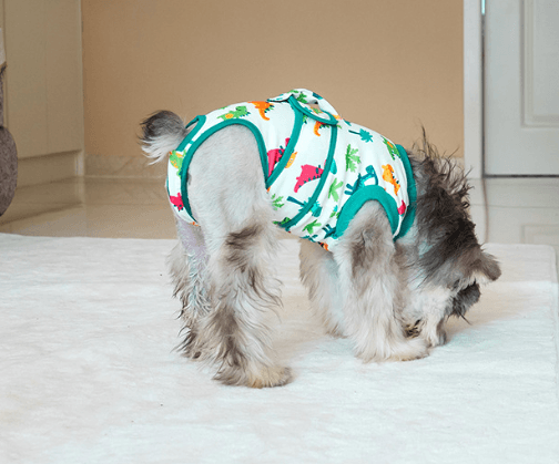 Gilet de Récupération Post-Opératoire Doublé Coton