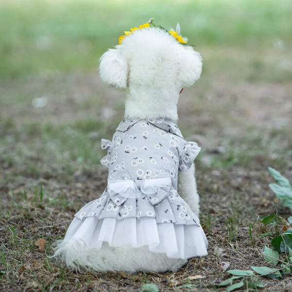 Robe Florale en Tulle avec Col Claudine & Nœud
