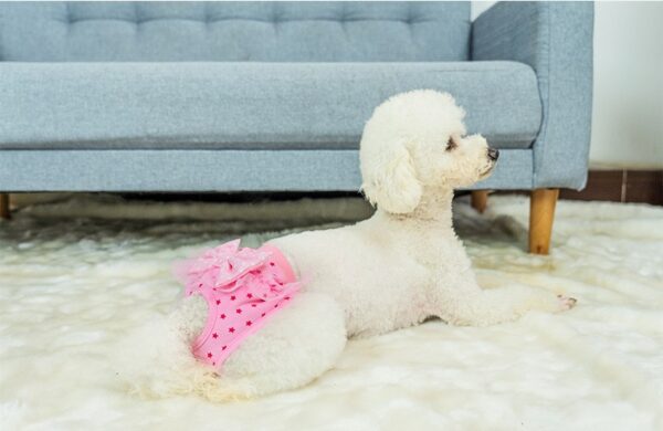 Culotte Hygiénique en Coton Imprimé Étoiles