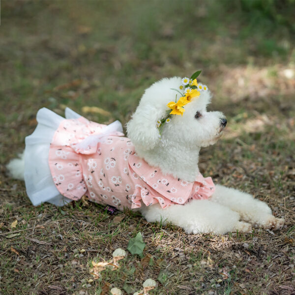 Robe Florale en Tulle avec Col Claudine & Nœud
