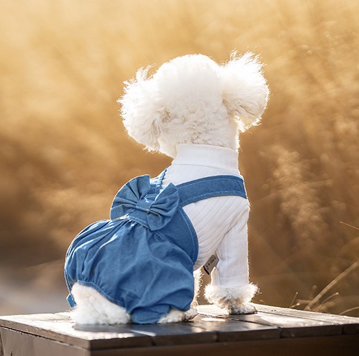 Salopette en Jean 2-en-1 avec Col Tricot Élastique