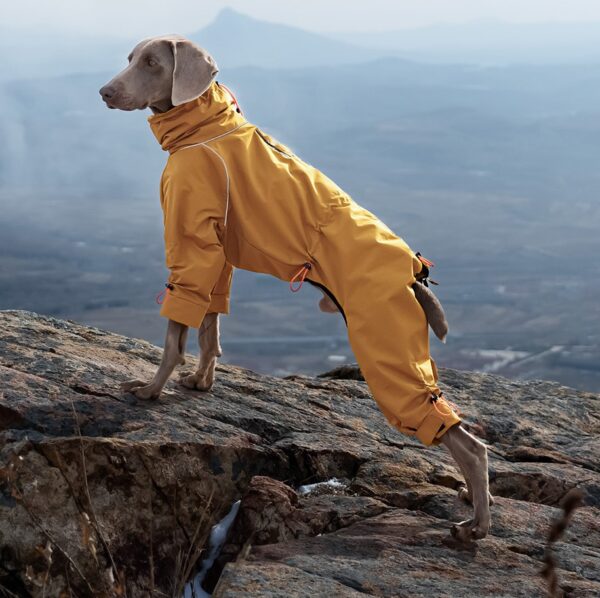 Combinaison Outdoor Imperméable 4 Pattes Doublée