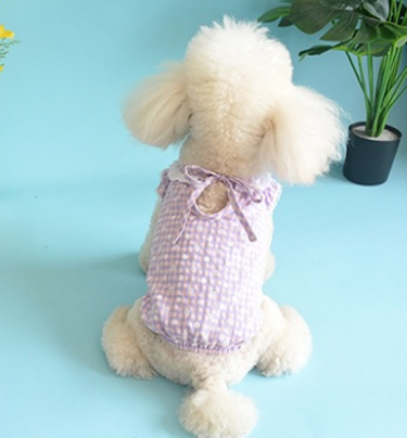 Robe d’Été en Coton Gaufré à Vichy & Dentelle