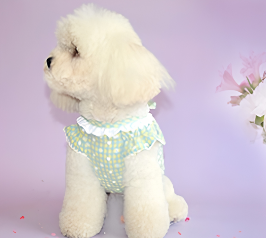 Robe d’Été en Coton Gaufré à Vichy & Dentelle