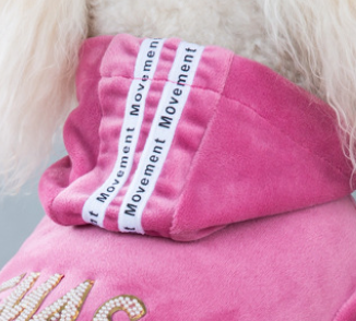 Survêtement 4 Pattes en Velours à Capuche Style Streetwear